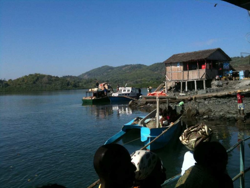 Photo Titi 119 (Copier)