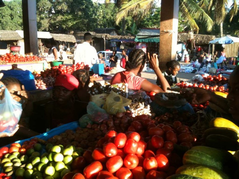 Photo Titi 160 (Copier)