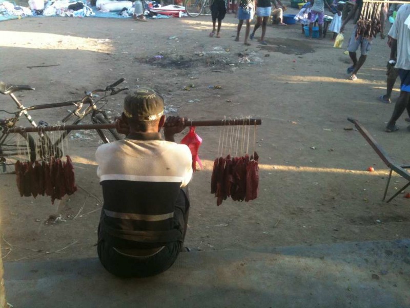 Photo Titi 164 (Copier)