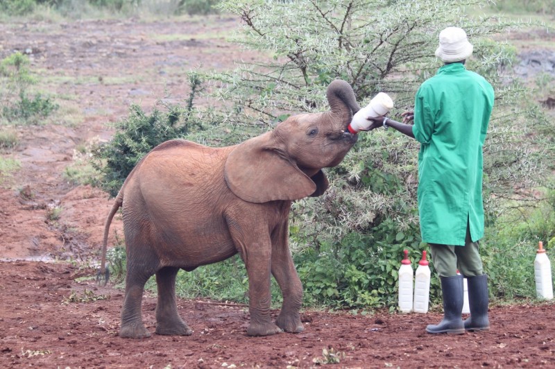 IMG_9269 (Copier) (Copier)