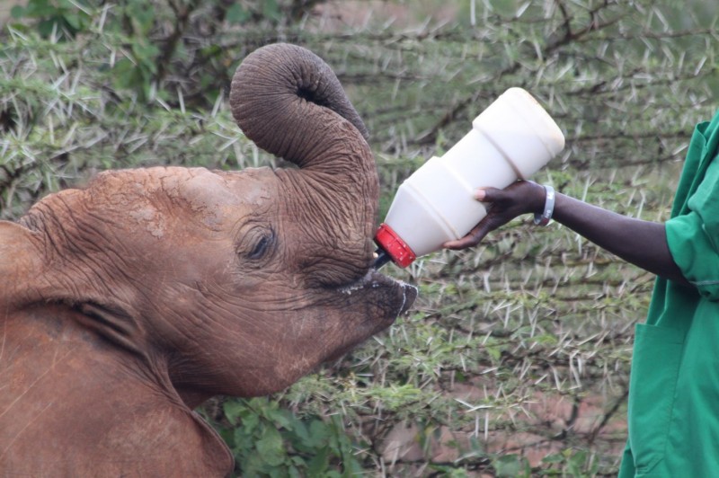 IMG_9271 (Copier) (Copier)