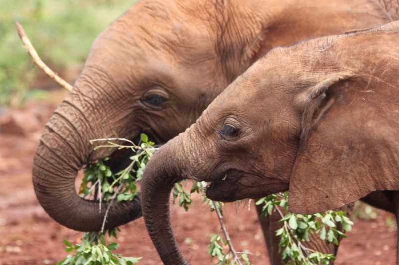 IMG_9289 (Copier) (Copier)