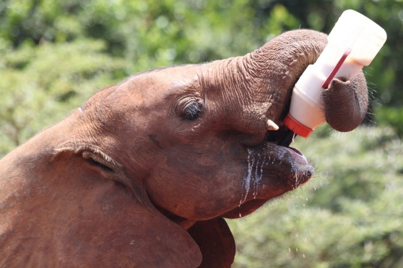 IMG_9315 (Copier) (Copier)